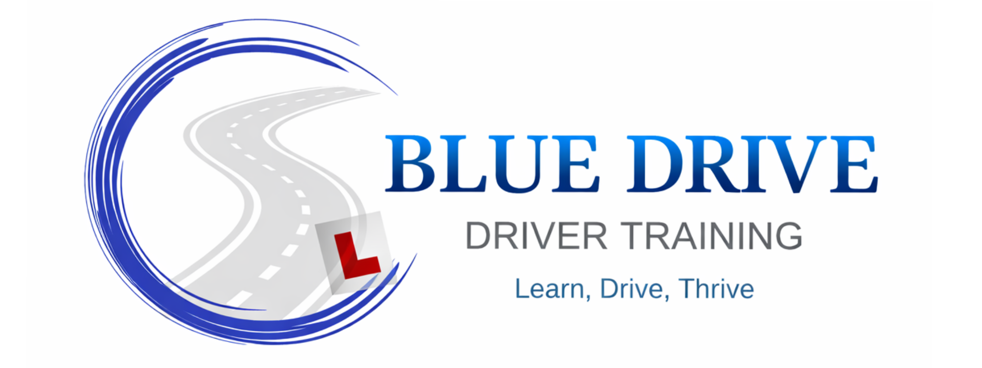 Blue Drive Driver Training